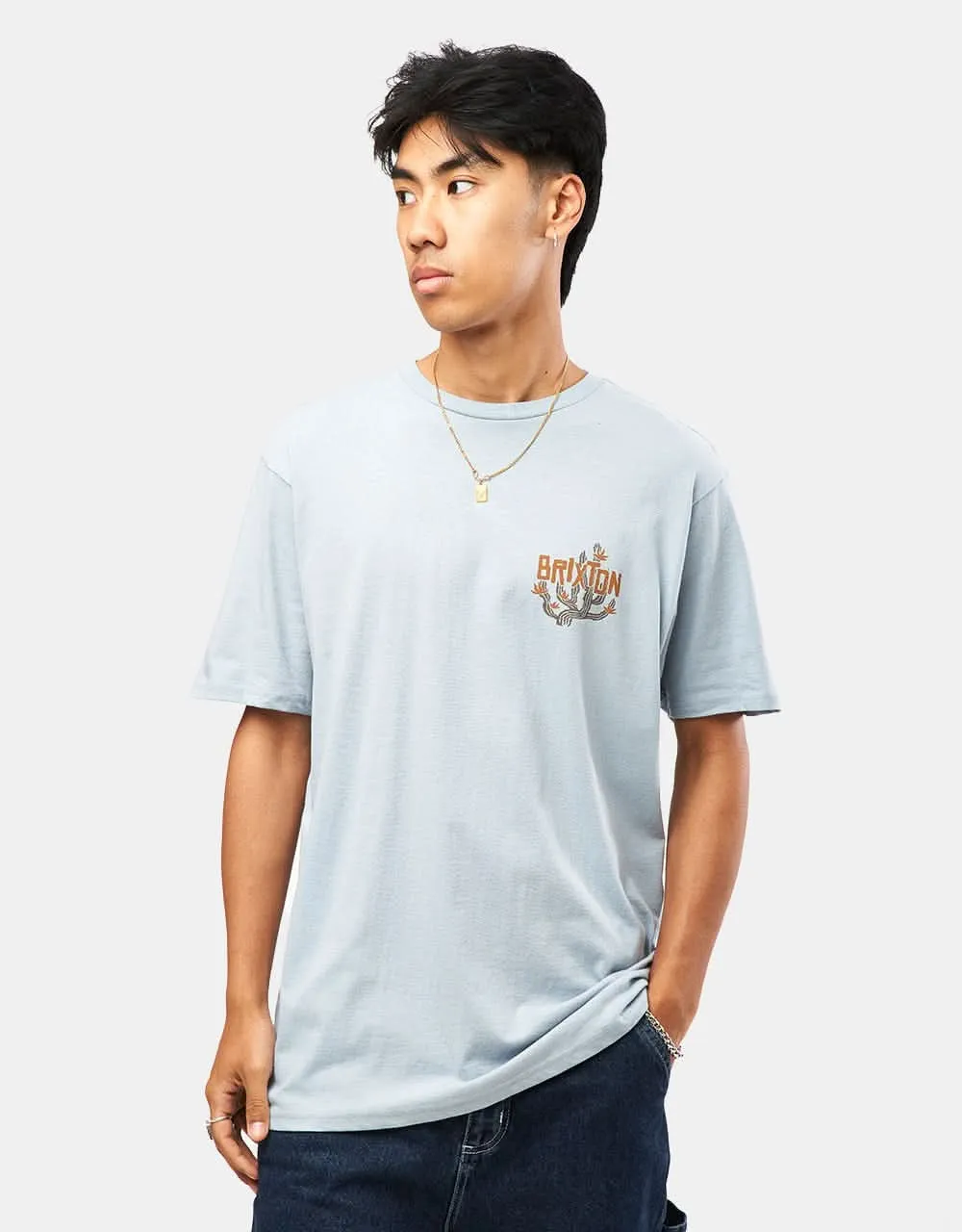 Brixton Valley T-Shirt - Dusty Blue