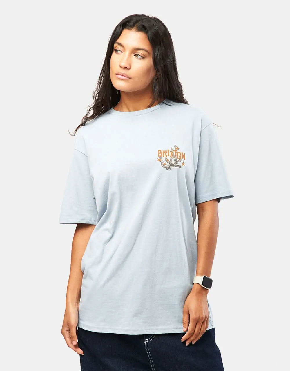 Brixton Valley T-Shirt - Dusty Blue