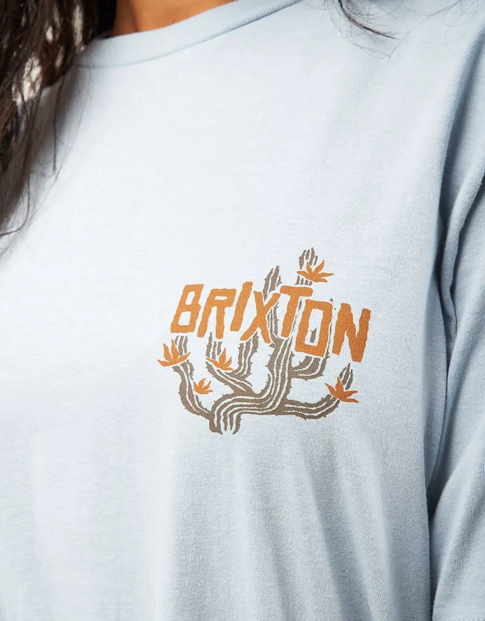 Brixton Valley T-Shirt - Dusty Blue