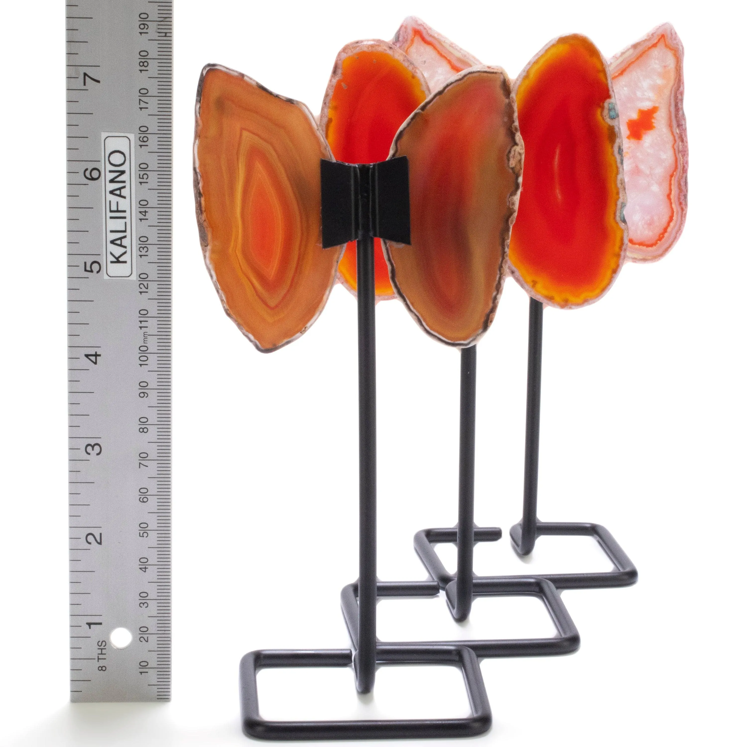 Orange Agate Wings on Custom Stand